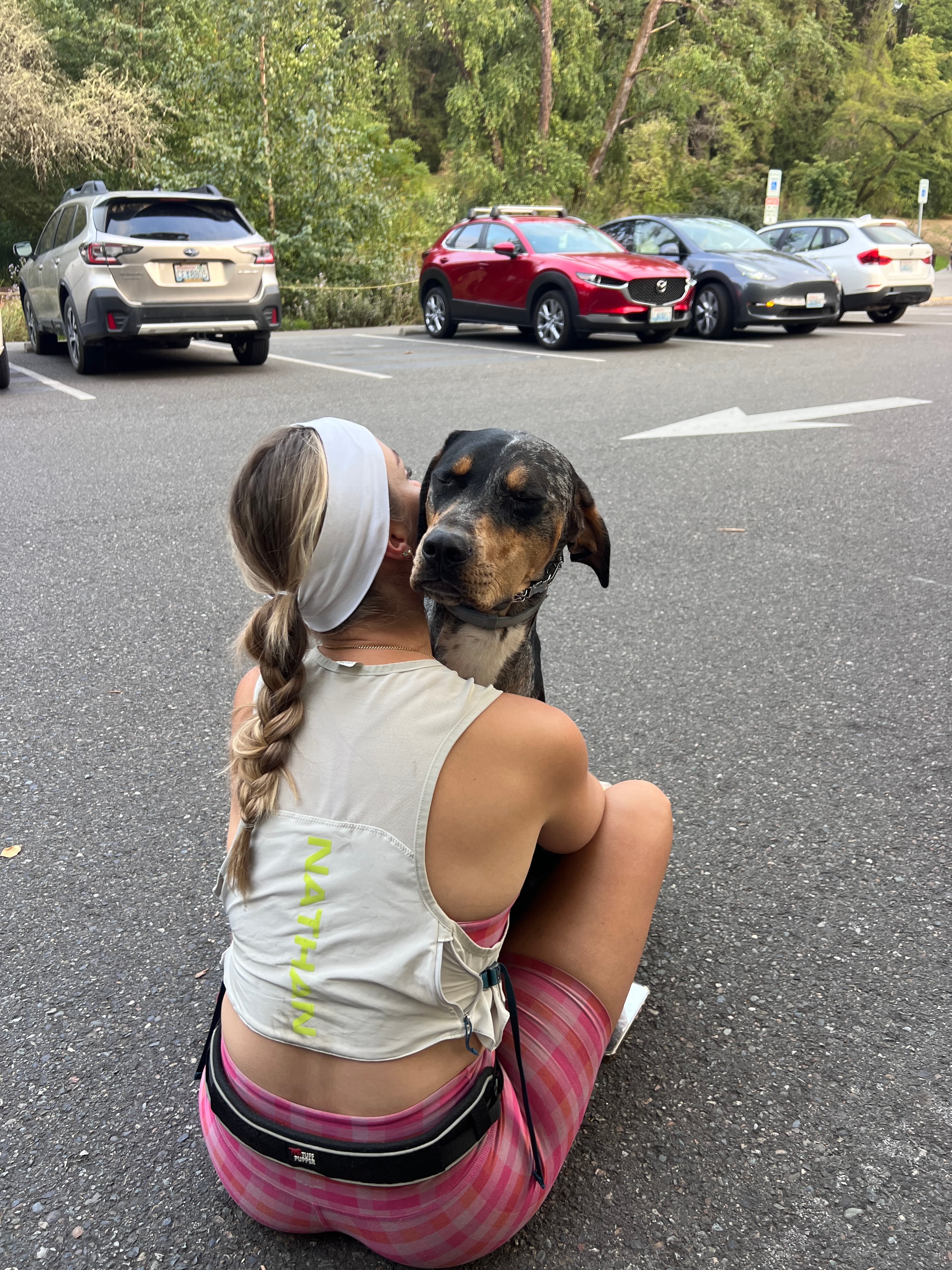 Dog being transported safely